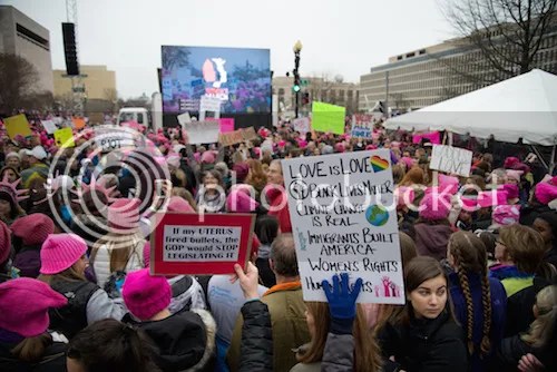[THE PROMISE AND IMPERFECTION OF THE WOMENS MARCH]